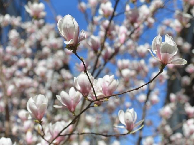 Toplo uz sunčane periode, ali i naoblačenje