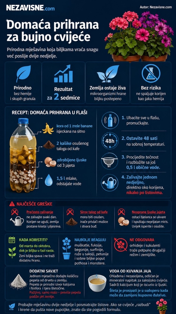 Domaća prihrana koju cvijeće obožava, buja kao ludo