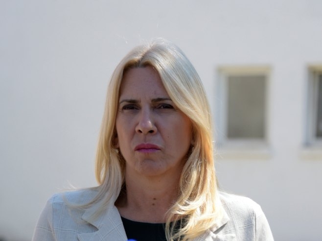 Cvijanović: Ustaški pokliči u Kninu - vraćanje u mračnu prošlost (VIDEO)