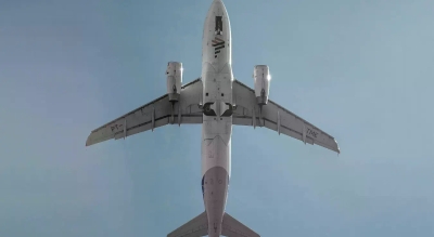 Хаос на небу: Пилоти мјаукали и лајали на контролу лета