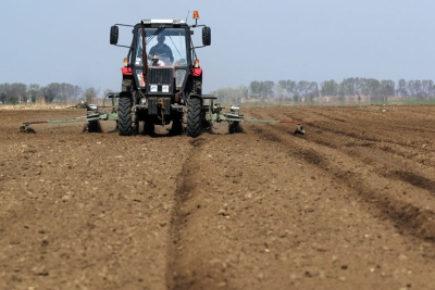 Računica poljoprivrednika: Za hektar pšenice treba 2.200 KM