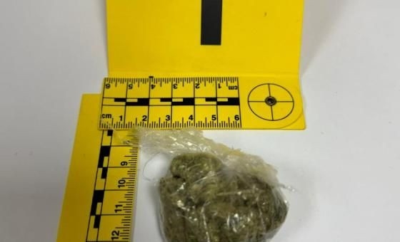 Kod maloljetnika u Grudama pronađena marihuana