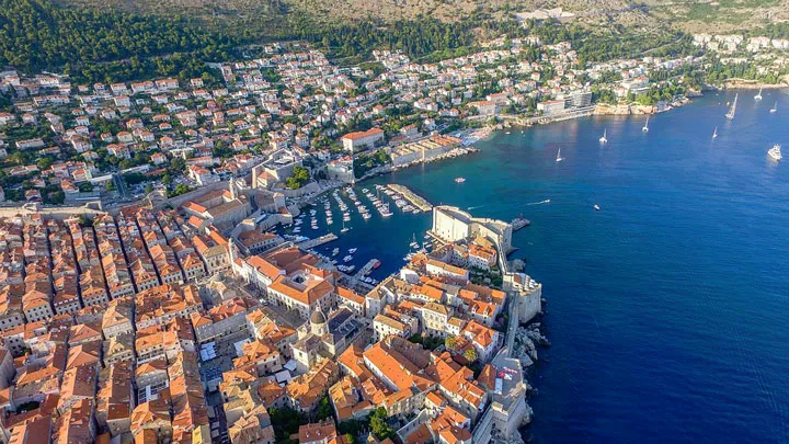 Dubrovčani traže da se Trebinjcima koji veličaju Ratka Mladića ukinu radne dozvole