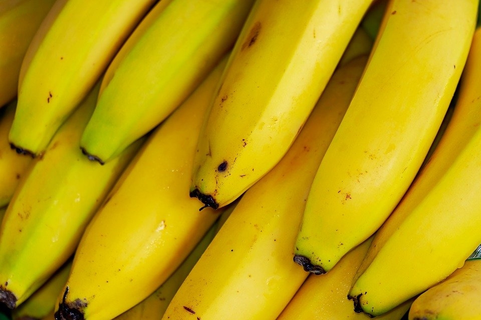 Sve banane u prodavnici potiču od jedne biljke, sorta prije ove izumrla je od gljivice, a ista takva gljivica se sada širi plantažama