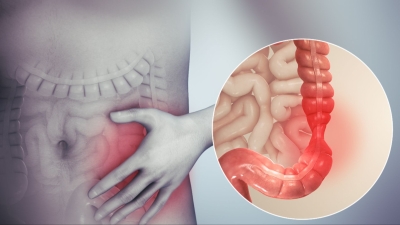 Prirodna podrška probavi: Zašto sve više ljudi koristi psilijum?