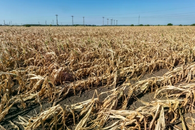 EU priprema zakon za klimatske katastrofe: Države moraju planirati zagrijavanje od tri stepena