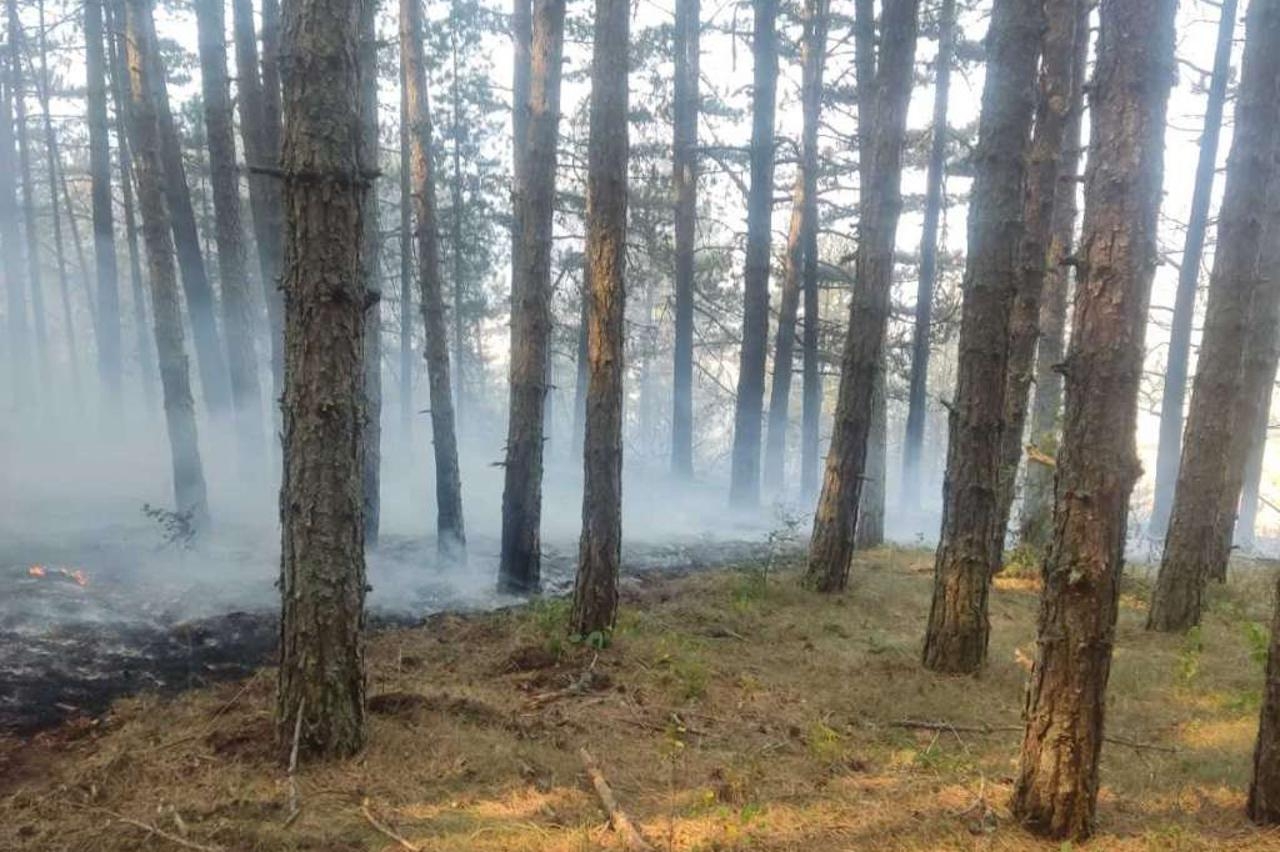 Vatra ne posustaje na Čvrsnici: Podzemna žarišta prijete novim razbuktavanjem, niz intervencija u Mostaru i Čapljini
