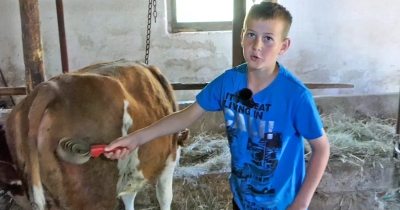 Dječak Asim je umjesto ekrana izabrao težak rad: “Šta će mi telefon kad nemam od njega koristi”