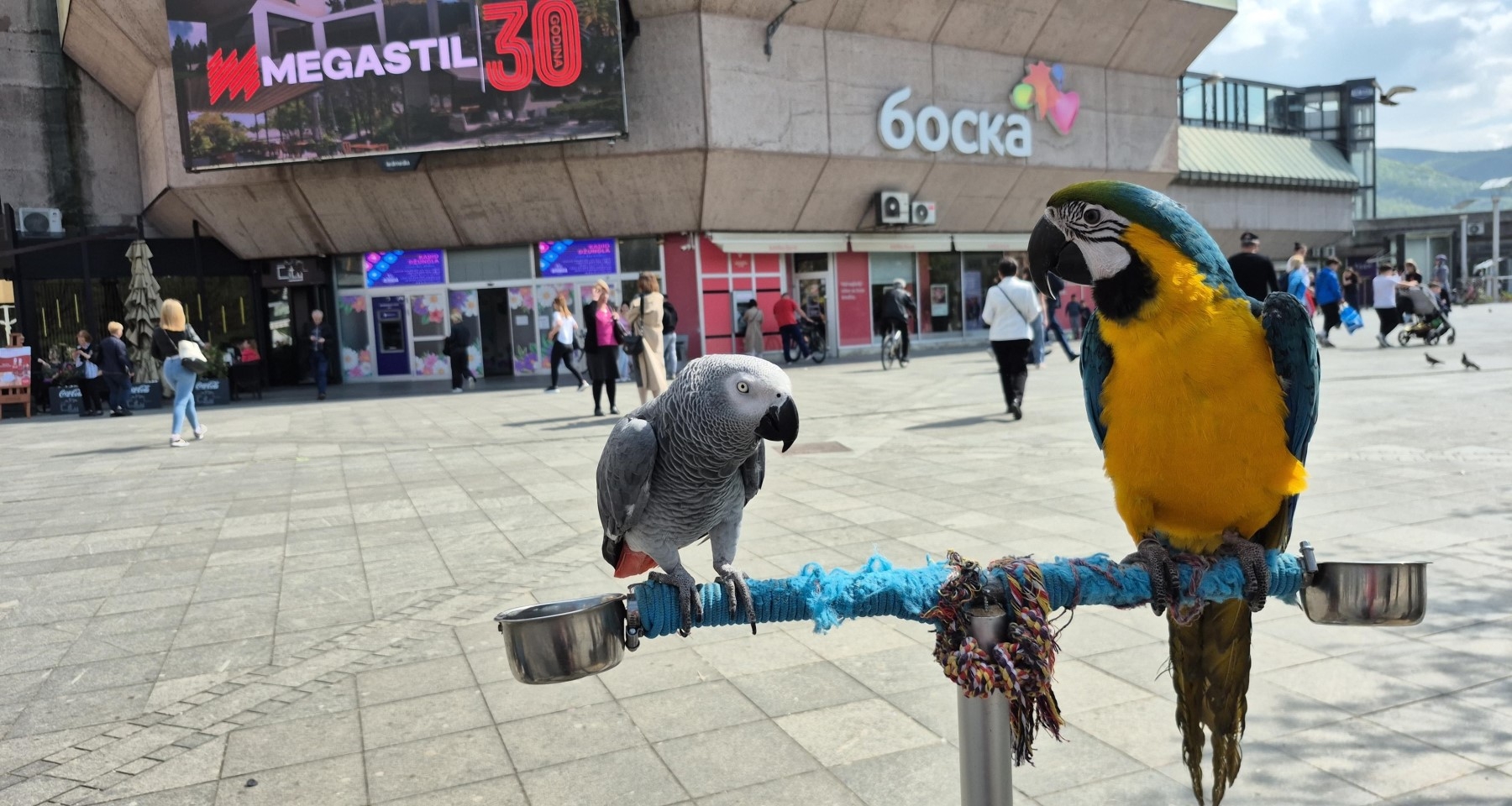 Koko i Maksi stigli na Trg Krajine: Evo koliko vam para treba za fotografiju s njima FOTO/VIDEO
