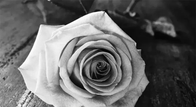 Умро чувени Ван Хамер