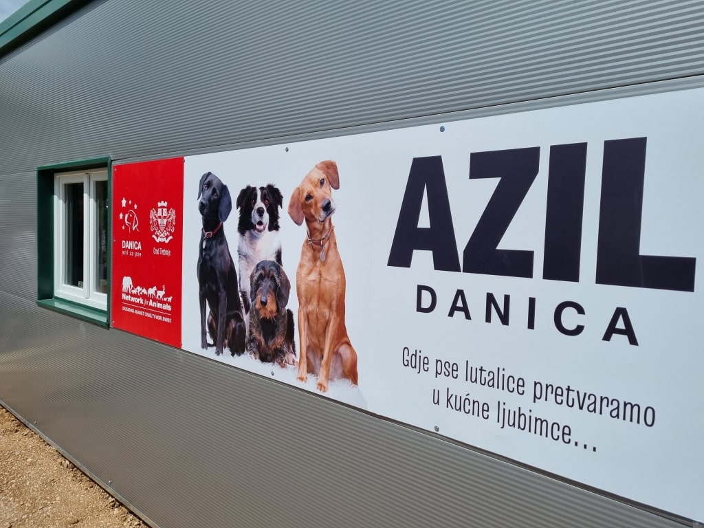Više od 120 pasa dobilo novu šansu, ali azil "Danica" na ivici kapaciteta zbog neodgovornih pojedinaca
