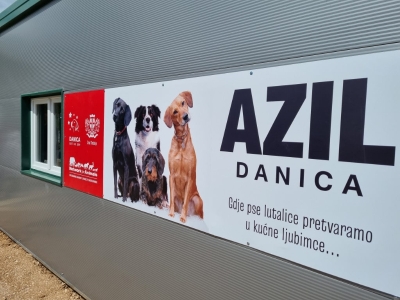 Više od 120 pasa dobilo novu šansu, ali azil "Danica" na ivici kapaciteta zbog neodgovornih pojedinaca