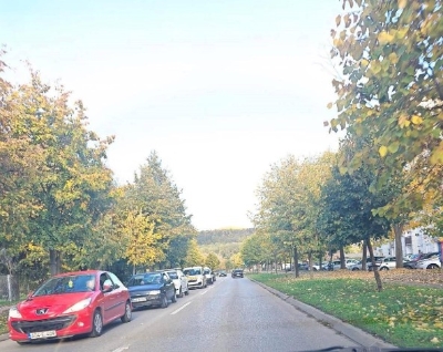 U Lazarevu kolona do “Zotovića”