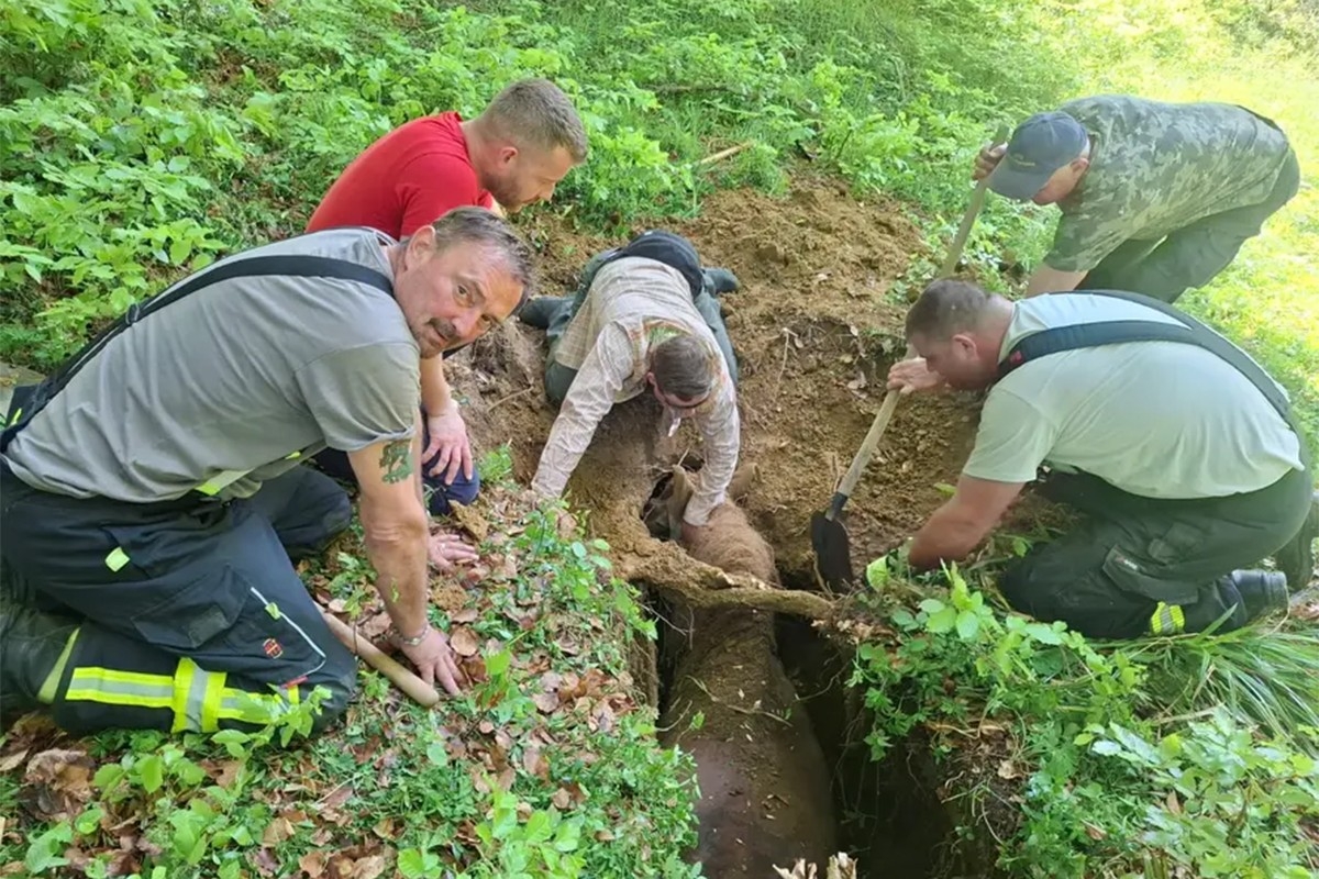 Drama u Hrvatskoj: Kobila i vlasnik upali u jamu